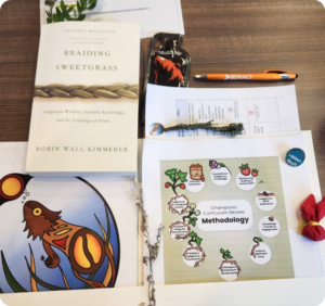 BPSO champions review@2x